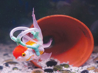Illustration for article titled Your Daily Bit of Aaaw: Man Makes Life Vest for Pet Fish.